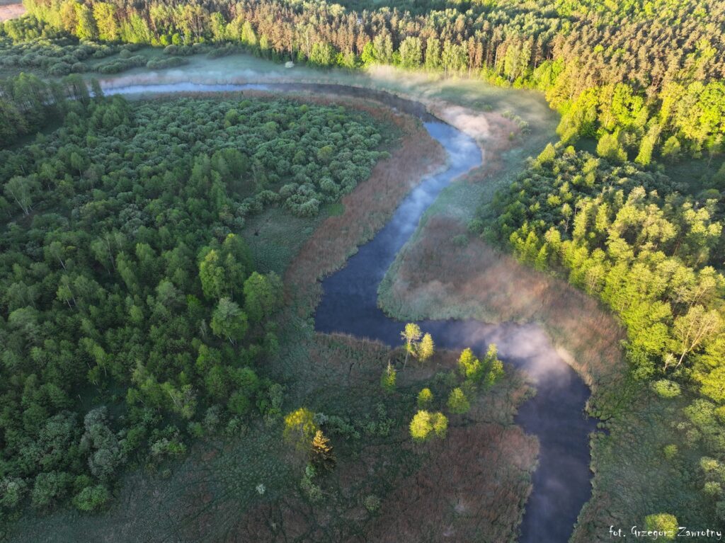 Panorama meandrów rzeki Krutyni z lotu ptaka na odcinku Ukta – Nowy Most – spływy AS-TOUR