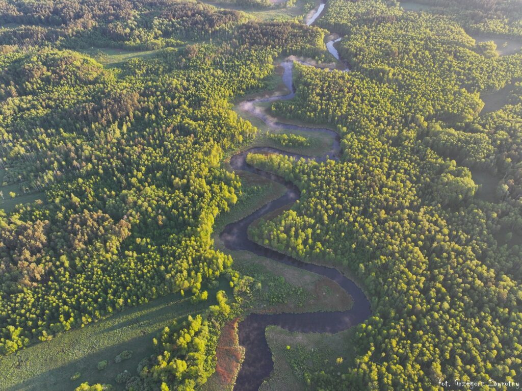 Widok z góry na meandry rzeki Krutyni za Uktą na trasie do Nowego Mostu – spływy AS-TOUR